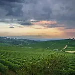 Vineho Barolo