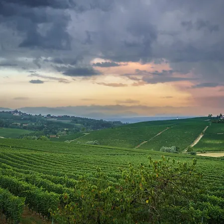 Vineho Barolo